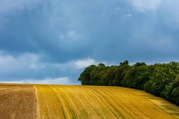 ドイツで小麦を収穫した後の黄金のフィールド — ストック写真