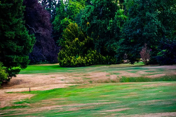 Small part of the golf field next to the forest — Stock Photo, Image