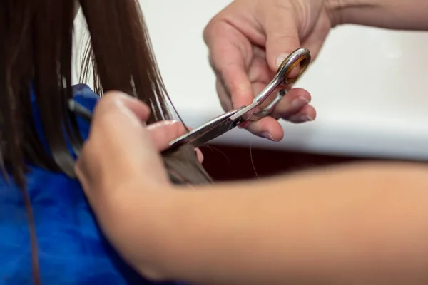 Professional female hairdresser cutting girls hair in salon — Stock Photo, Image