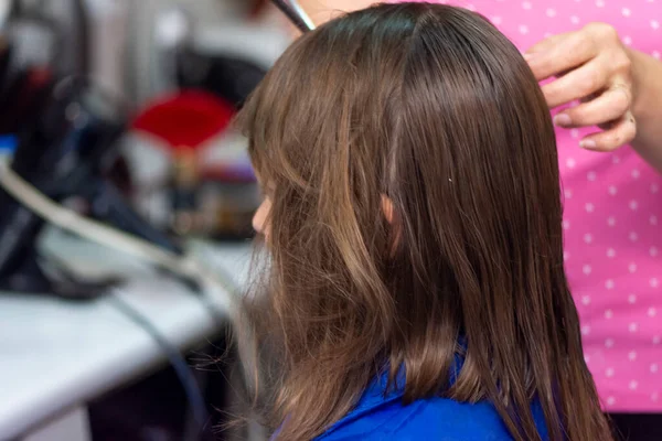 Peluquería Femenina Profesional Que Corta Pelo Castaño Muchacha Salón Primer —  Fotos de Stock