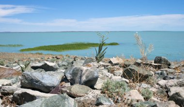 Balkhash Gölü turkuaz su