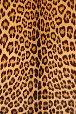 Kahverengi benekli leopar derisi deseni.