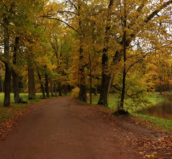 Beau parc d'automne . — Photo