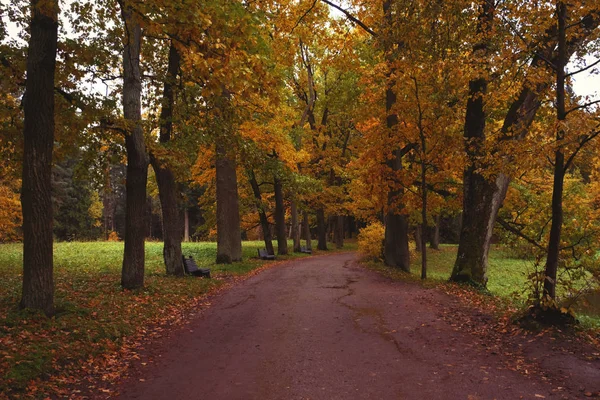 Beau parc d'automne . — Photo