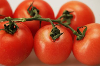 Domatesler dalda. yakın çekim