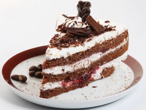 Κέικ σοκολάτας κοντά επάνω βλαστό — Φωτογραφία Αρχείου
