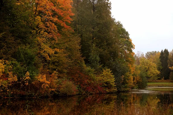 Lac dans le parc d'automne. Beauté d'automne. — Photo