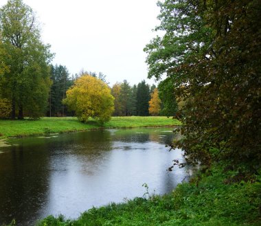 Sonbahar parkındaki göl. Sonbahar güzelliği.