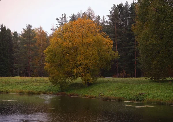 Jezero v podzimním parku. Podzimní krása. — Stock fotografie