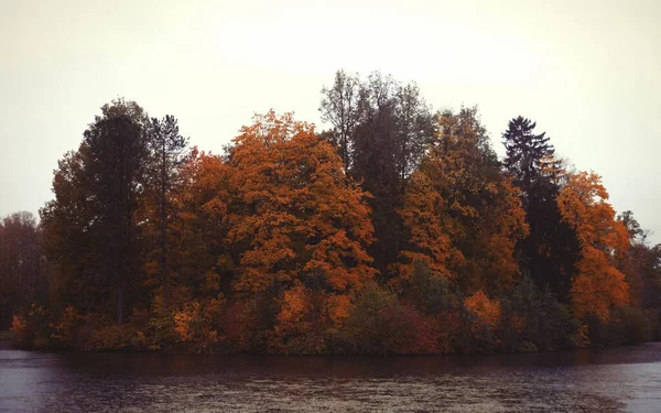 Lac dans le parc d'automne. Beauté d'automne. — Photo