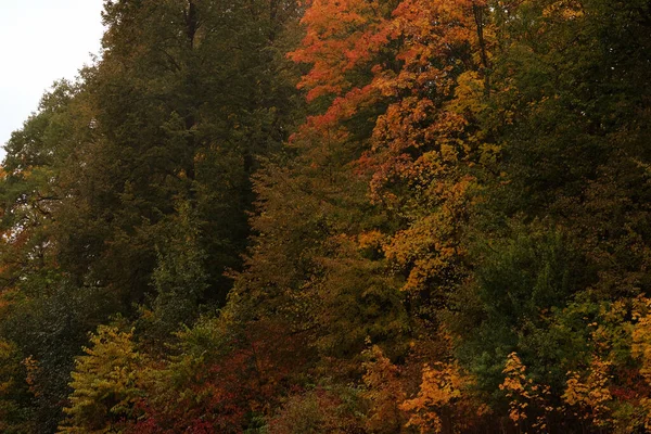 Lac dans le parc d'automne. Beauté d'automne. — Photo