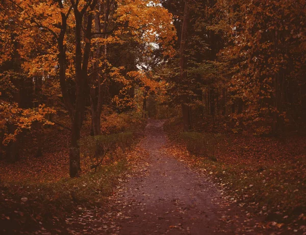 Bellissimo parco autunnale. Parco per rilassarsi — Foto Stock