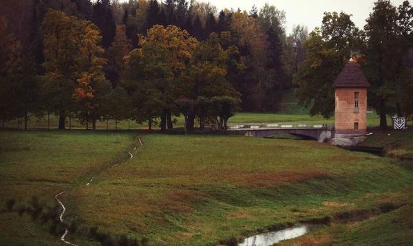 Sjön i höstparken. Bladen faller. — Stockfoto