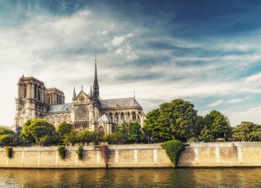 Paris,Fransa'daki Notre Dame Katedrali, gündüz. Yaz seyahatarka planı.