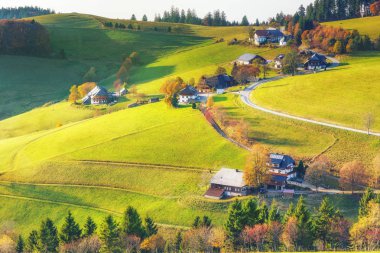 Kara Orman, Almanya'nın doğal sonbahar dağ manzarası. Renkli seyahat arka plan.