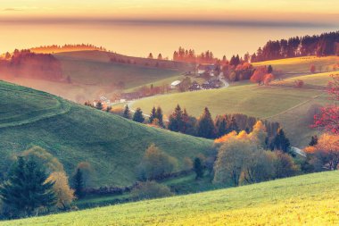 Black Forest, Almanya'nın doğal sonbahar dağ manzarası. Renkli seyahat arka plan.