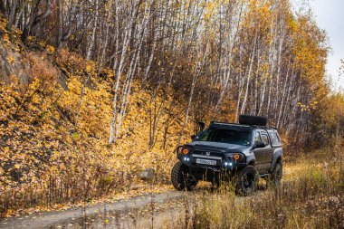 Habarovsk, Rusya Federasyonu - 7 Ekim 2018: Toyota Tacoma hızlı bir offroad sürüş