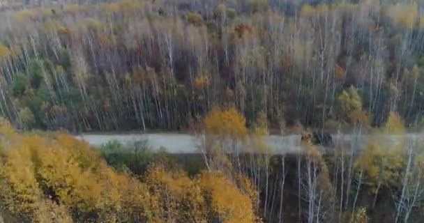 Vista Desde Cielo Otoño Coche Carretera Vista Aérea Camino Rural — Vídeos de Stock