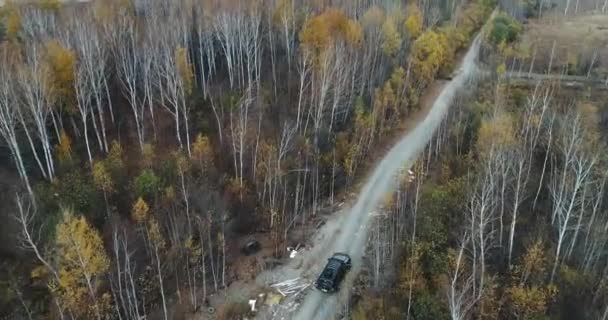 La vista desde el cielo de otoño coche de carretera. Vista aérea de un camino rural en el bosque de otoño. El bosque y el dron de la carretera. Camino en el bosque vista superior toyota tacoma — Vídeos de Stock