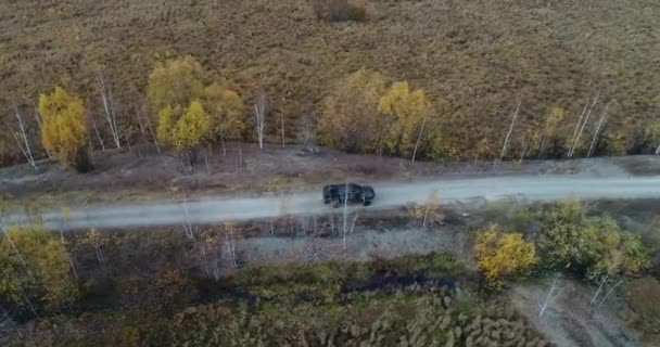 秋の道路の車の空からの眺め。秋の森の田舎道の空撮。森と高速道路の無人機。フォレスト上の道路表示トヨタ タコマ — ストック動画