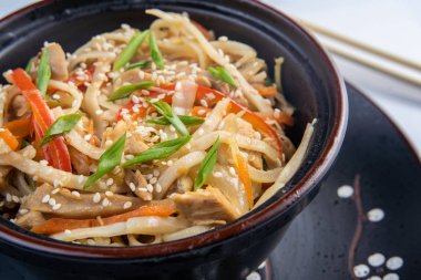 Japon ramen çorba, tavuk, yumurta, chives ve koyu ahşap arka plan üzerinde Filiz.