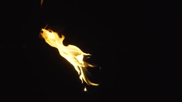 A wall torch burning in center of frame — Stock Video