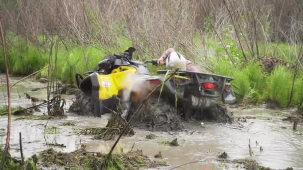 沼、水、泥、泥を介して Atv を運転します。スローモーション — ストック動画