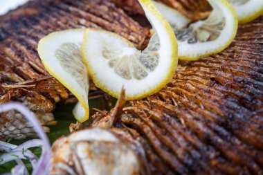 beyaz üzerine beyaz tabak ızgara sazan balık