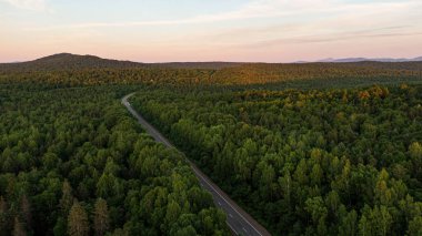 Toprak yolunun üst görünümü ve parlak gün batımı renklerinde yeşil bahar ormanları. Havadan güzel manzara, drone fotoğraf.