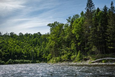 Dağ Nehri Vadisi Anyuy. Rusya 'nın uzak doğusundaki Khabarovsk toprakları. Anyui nehrinin manzarası çok güzel. Anyu Milli Parkı. Rusya Taiga 'daki peyzaj nehri.