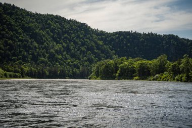 Dağ Nehri Vadisi Anyuy. Rusya 'nın uzak doğusundaki Khabarovsk toprakları. Anyui nehrinin manzarası çok güzel. Anyu Milli Parkı. Rusya Taiga 'daki peyzaj nehri.