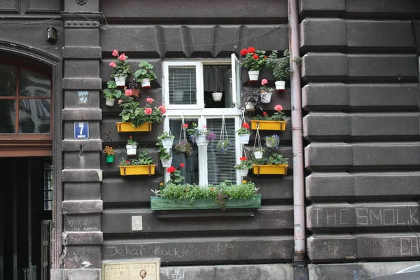 Window decoration - flowers at the window of the old townhouse, Poland
