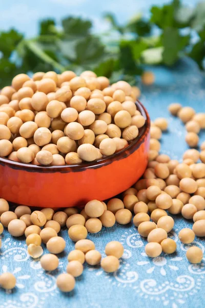 Bowl Dried Soy Beans Popular Food Ingredient — Stock Photo, Image