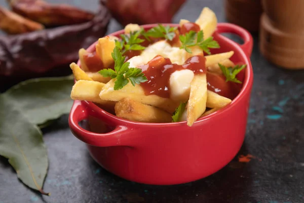 Capota Canadense Batatas Fritas Com Queijo Molho Molho — Fotografia de Stock