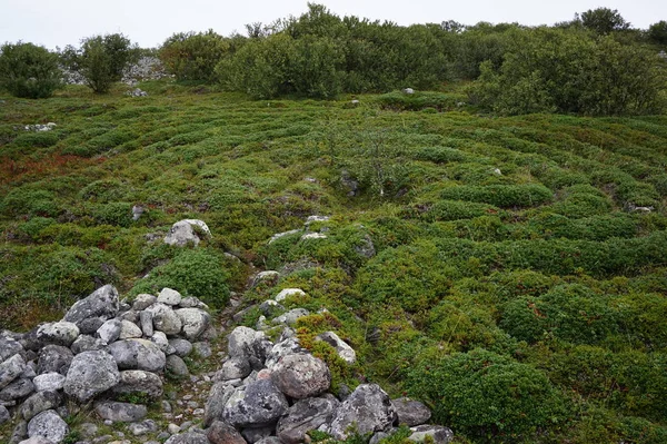 Labyrinths of russian north