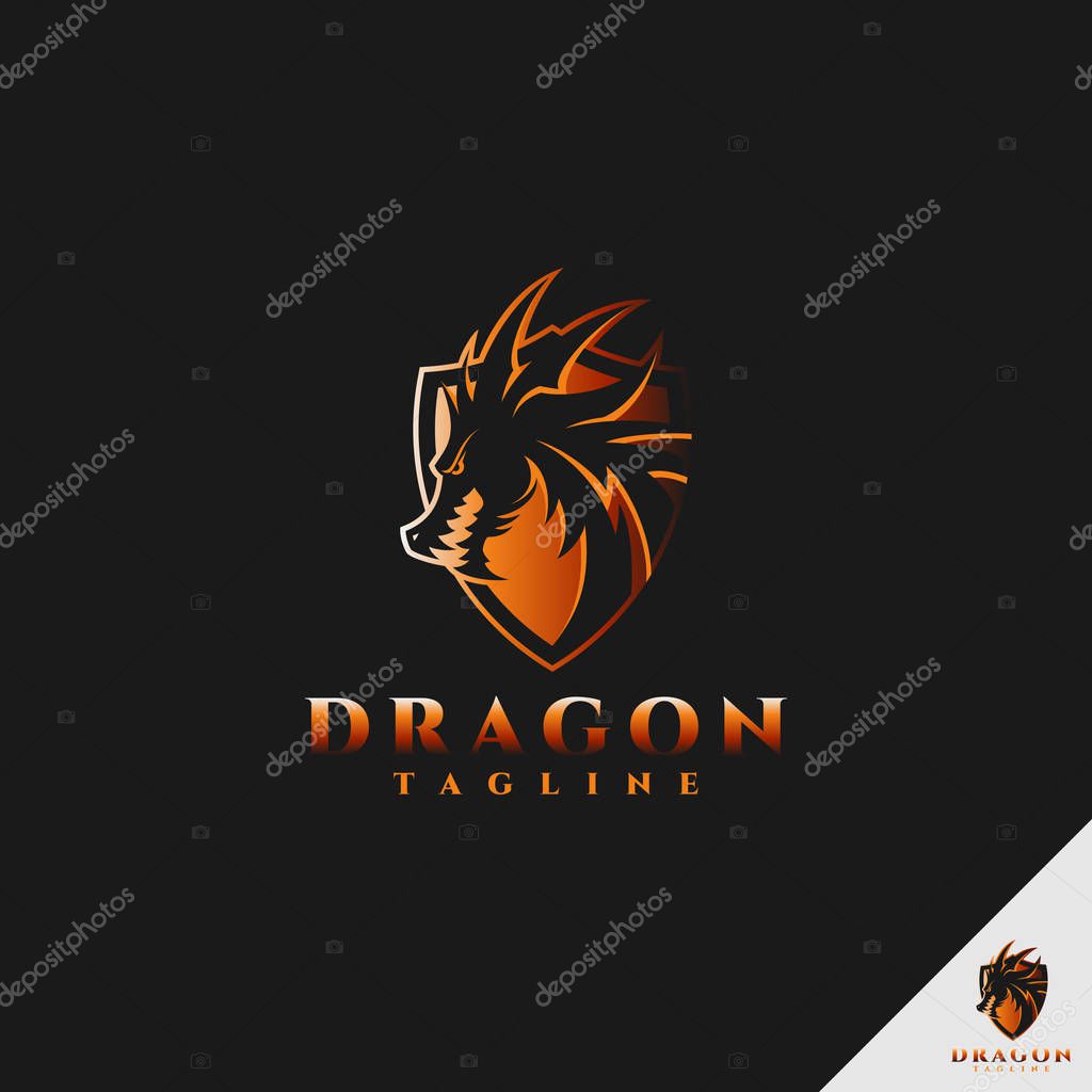 Dragon Logo - multipurpose dragon logo with shield concept
