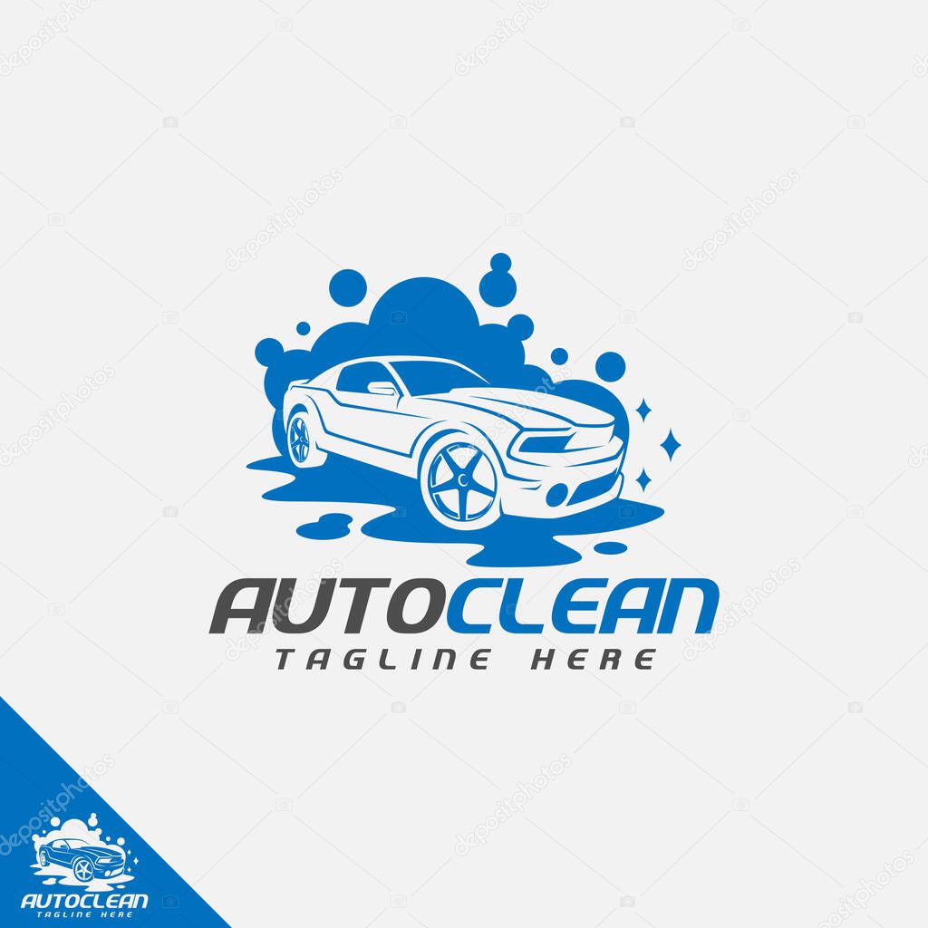 Professional Car Wash Company or Business Logo