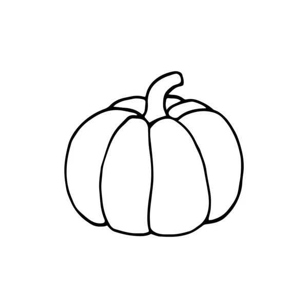 Zucca isolata su sfondo bianco, illustrazione vettoriale disegnata a mano. — Vettoriale Stock