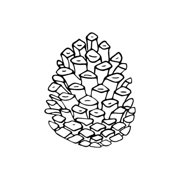 Detailed vector illustration of a pine cone isolated on white. — Stock Vector