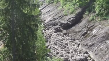 Güneşli bir gün ormanda kurumuş bir nehir taşlı yatak,