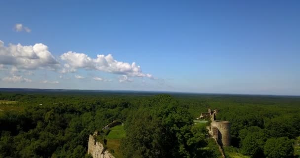 Vista aérea desde la antigua fortaleza destruida por drones. Koporye. San Petersburgo. Rusia — Vídeo de stock