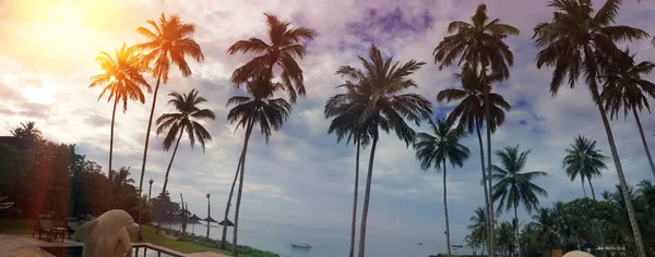 Indonesia Bali Una Playa Durante Una Puesta Sol —  Fotos de Stock