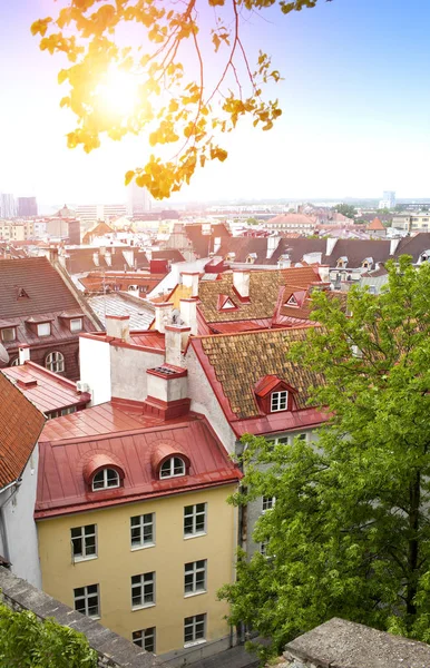 Město Panorama Vyhlídkové Paluby Střechách Starého Města Tallinne Estonsko — Stock fotografie