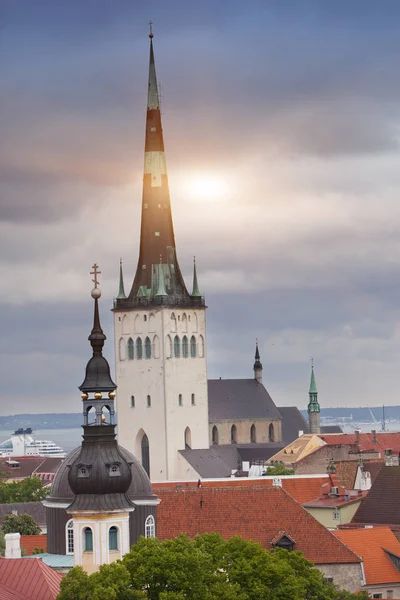 Spitze Der Olevistischen Kirche Tallinn Estland — Stockfoto