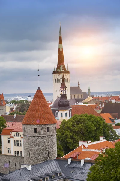 Espiga Olaf Oleviste Igreja Torre Fortificação Tallinn Estoni — Fotografia de Stock