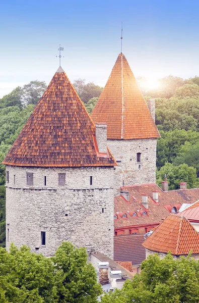 Menara Abad Pertengahan Bagian Dari Tembok Kota Tallinn Estonia — Stok Foto