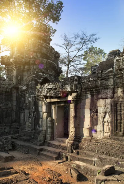 Angkor Wat Siem Reap Kambodzsa Prohm Templom Romjai Századból — Stock Fotó