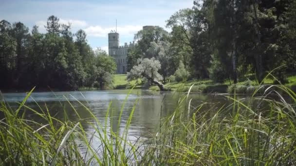 El gran palacio de Gatchina en el parque de Gatchina en verano día soleado — Vídeos de Stock