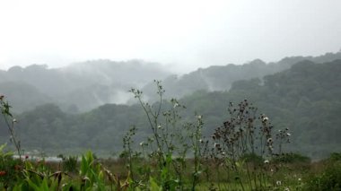 Bali Endonezya Lake Tamblingan tapınak Gubug Pura Gubug