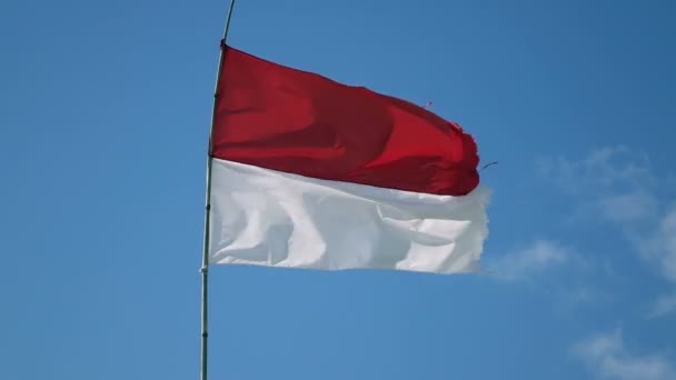 Indonézia zászlaja alakul ki, a szél ellen a háttér a kék ég — Stock videók